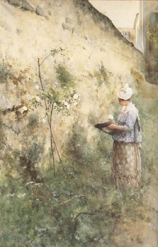 Carl Larsson The Old Wall Spain oil painting art